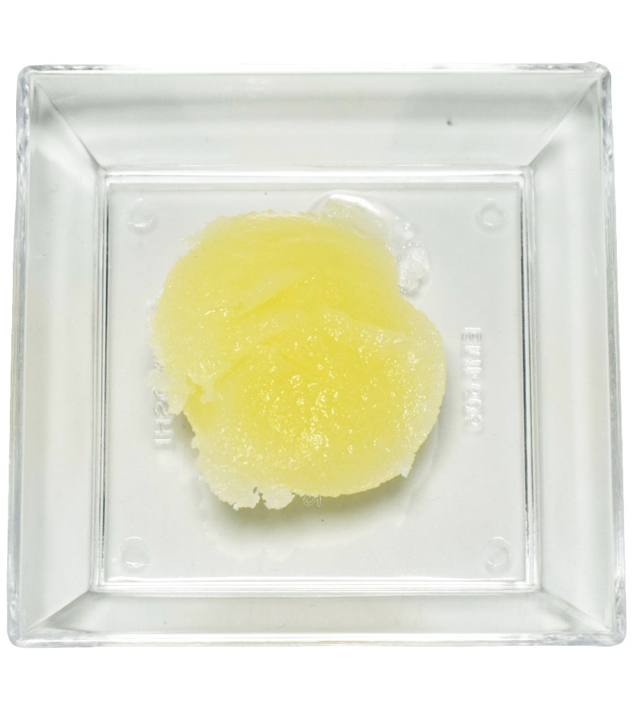 CreamMaker&reg; PASTE image number 1