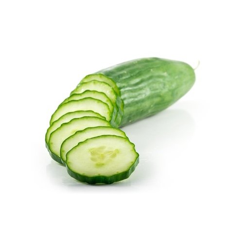 Cucumber Fruit Extract GL image number 2