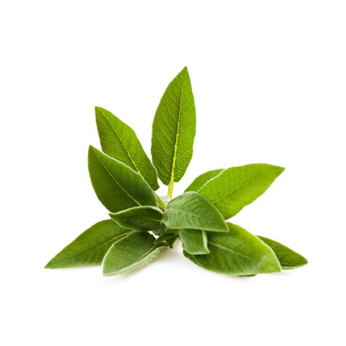 Sage Extract image number 2