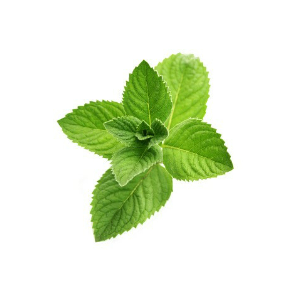 Peppermint Oil image number 2